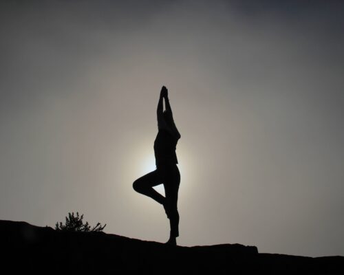 Yoga and movement therapy